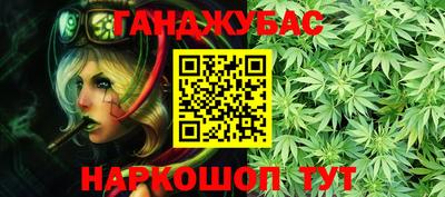 стафф Новозыбков