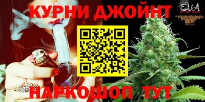 стафф Новозыбков