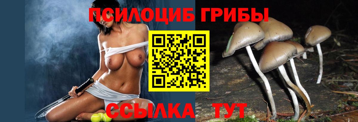 Галлюциногенные грибы ЛСД Тосно