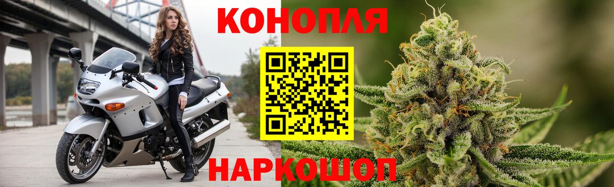 Бошки марихуана семена  Каннабис семена  Тосно  Марихуана семена  Вход с VPN 